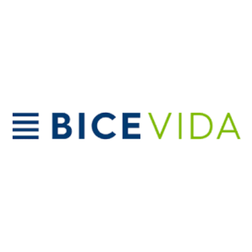 bicevida